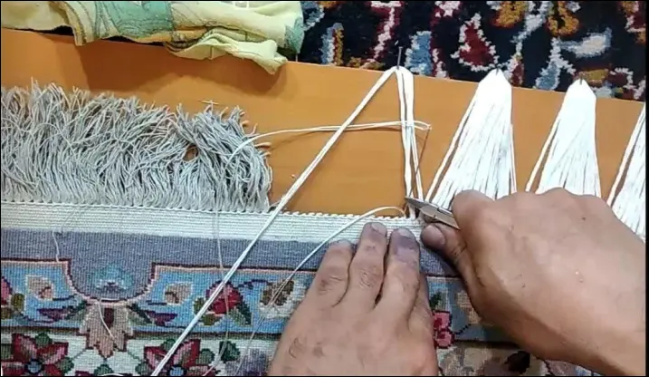 ریشه زنی